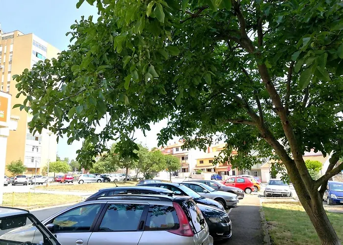 Harmony Apartament Pula